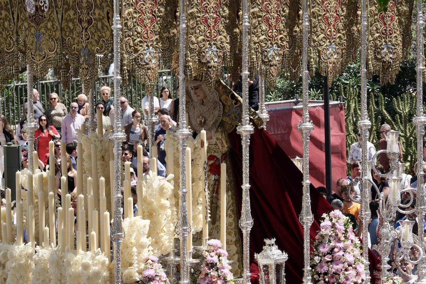Las imágenes de la Borriquita en la Semana Santa de Cádiz 2025