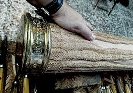 Nueva cruz arbórea para el Nazareno