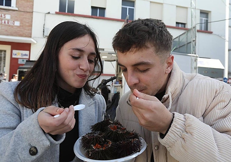 Los erizos vuelan en La Viña
