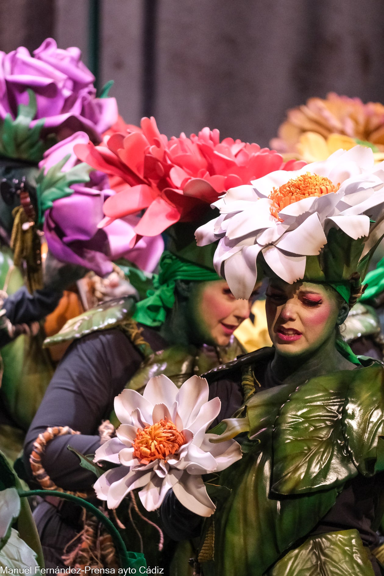 Fotos: Comparsa &#039;La Consentida&#039; en preliminares