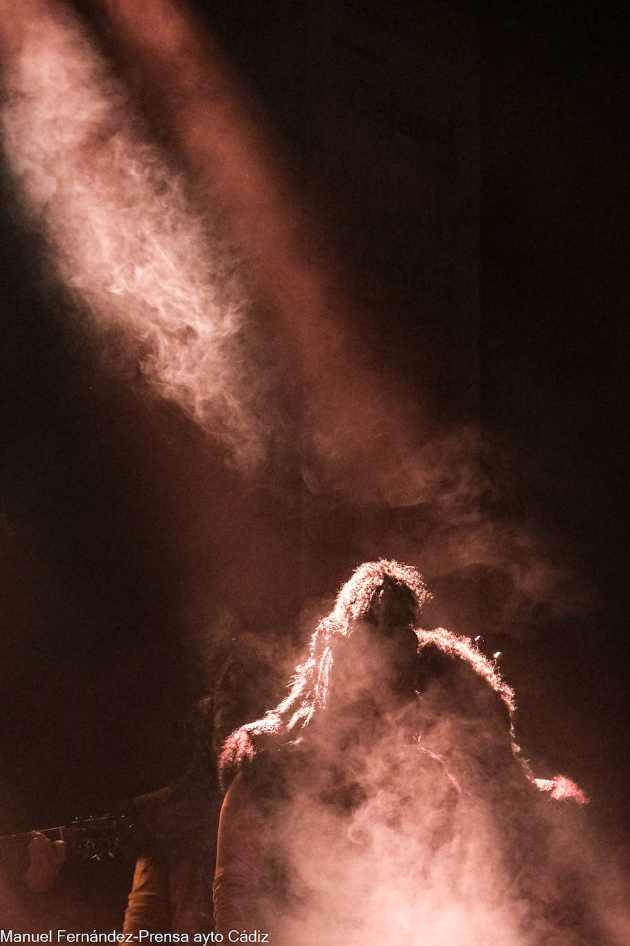 Fotos: &#039;La oveja negra&#039; de Antonio Martínez Ares en el Falla