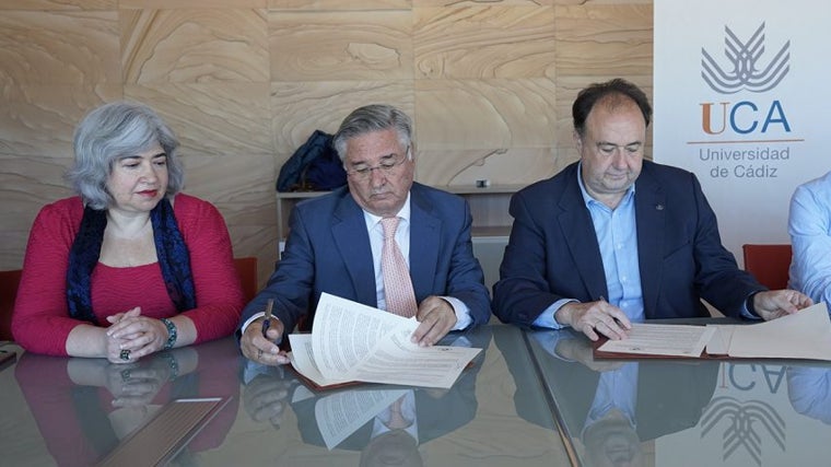 Un paso más hacia el reconocimiento del Carnaval de Cádiz como Patrimonio Cultural Inmaterial