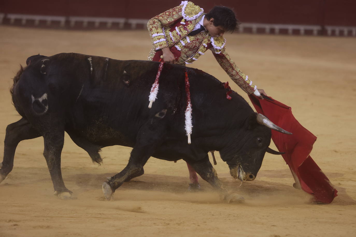 Fotos: Roca Rey sufre una cornada en la tarde de toros de El Puerto