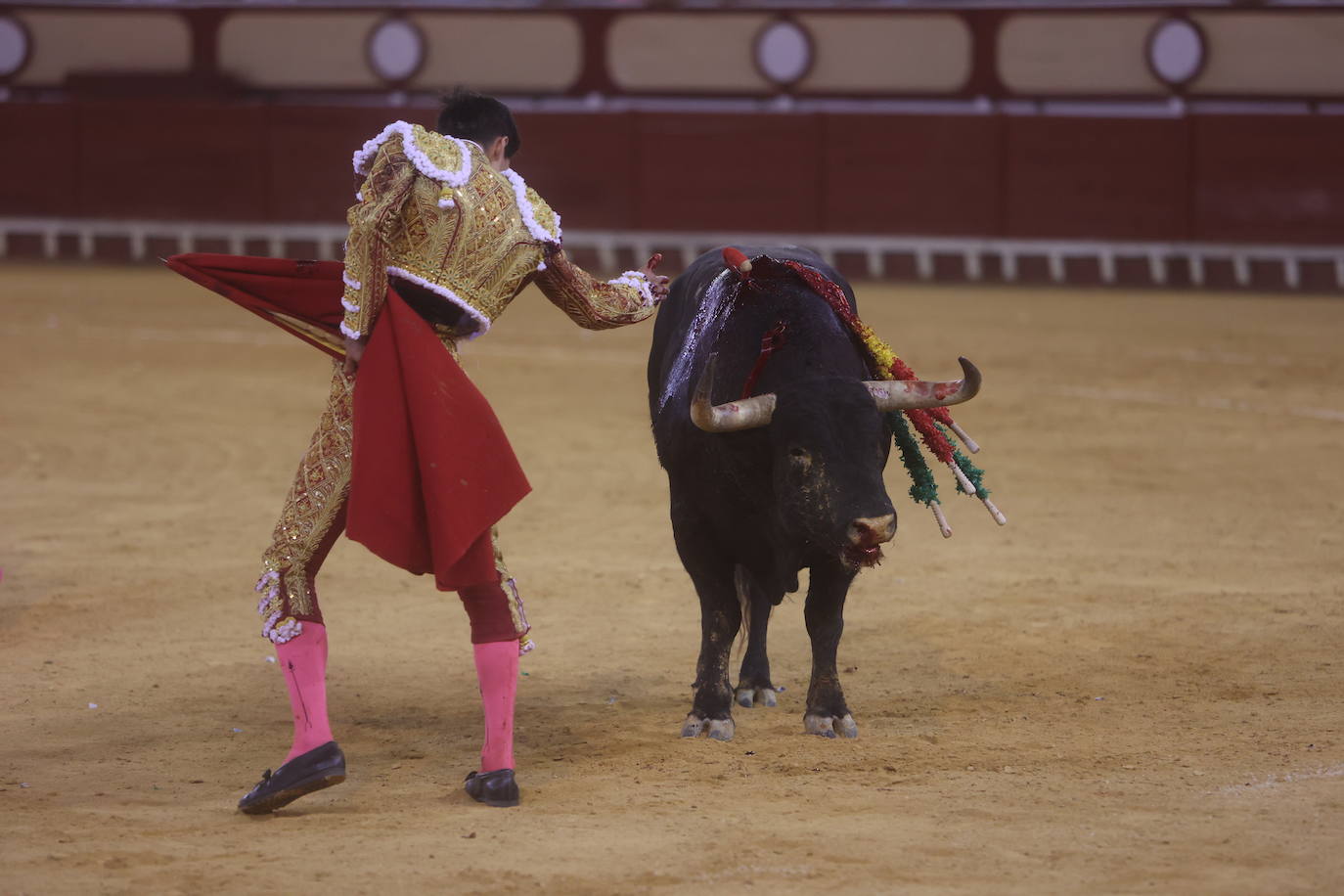 Fotos: Roca Rey sufre una cornada en la tarde de toros de El Puerto
