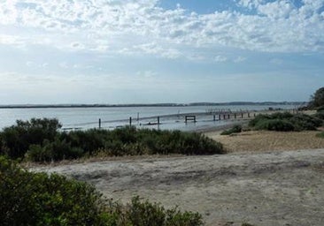 Un nuevo estudio señala que la ciudad de Tartessos pudo estar en la actual Doñana