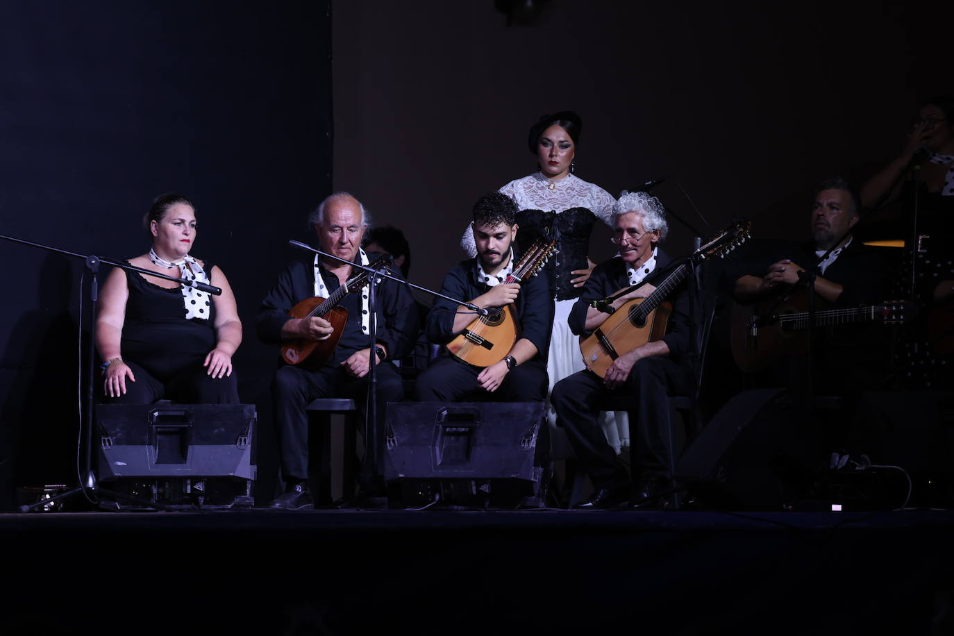 Fotos: Arte a raudales en la gala Solera Gaditana celebrada en el Baluarte de la Candelaria