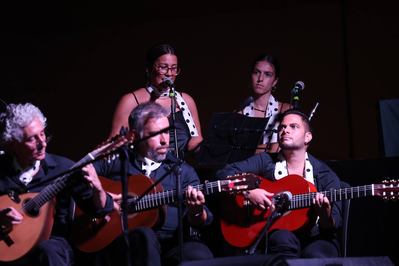 Fotos: Arte a raudales en la gala Solera Gaditana celebrada en el Baluarte de la Candelaria