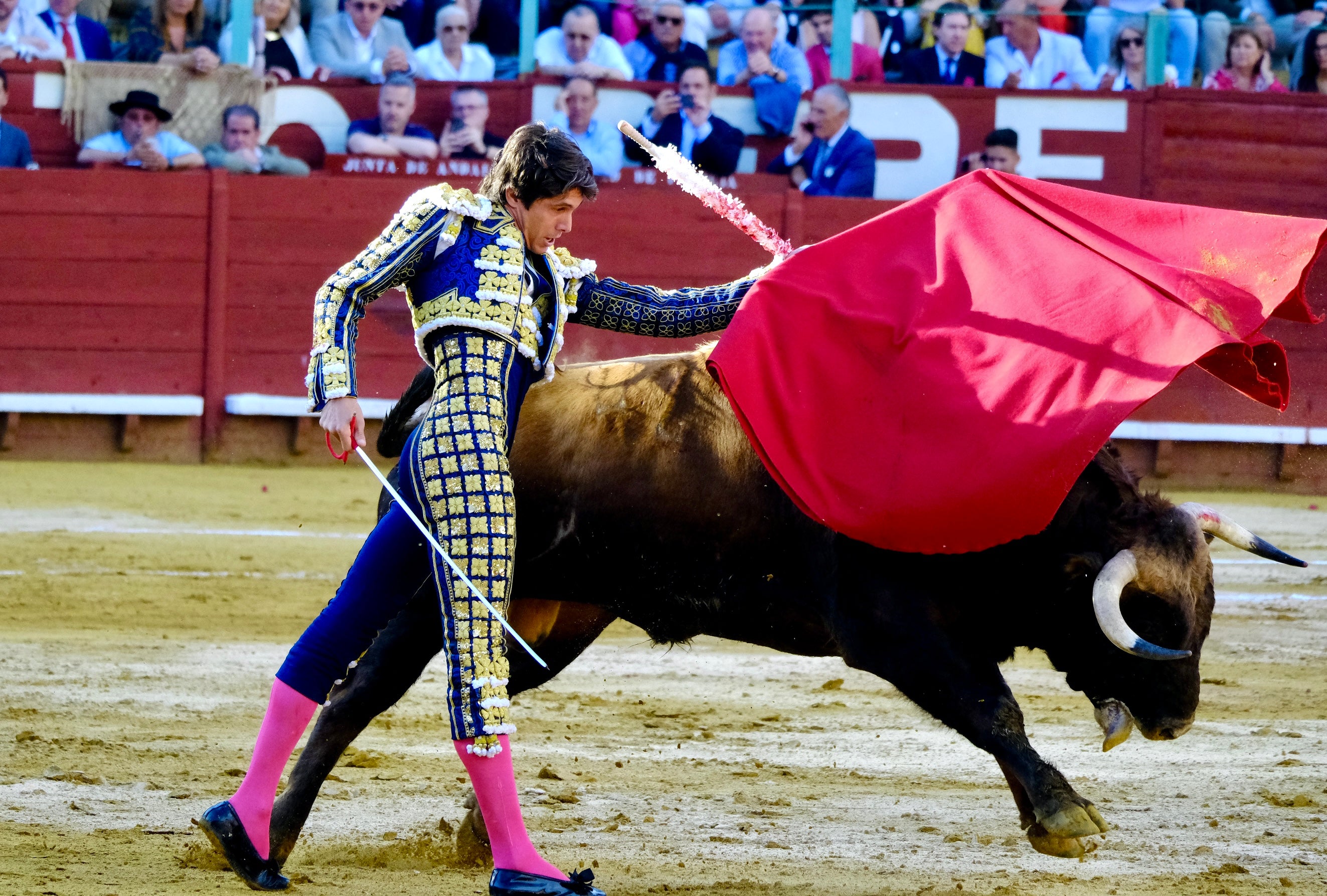 Las imágenes de la tarde de toros en Jerez
