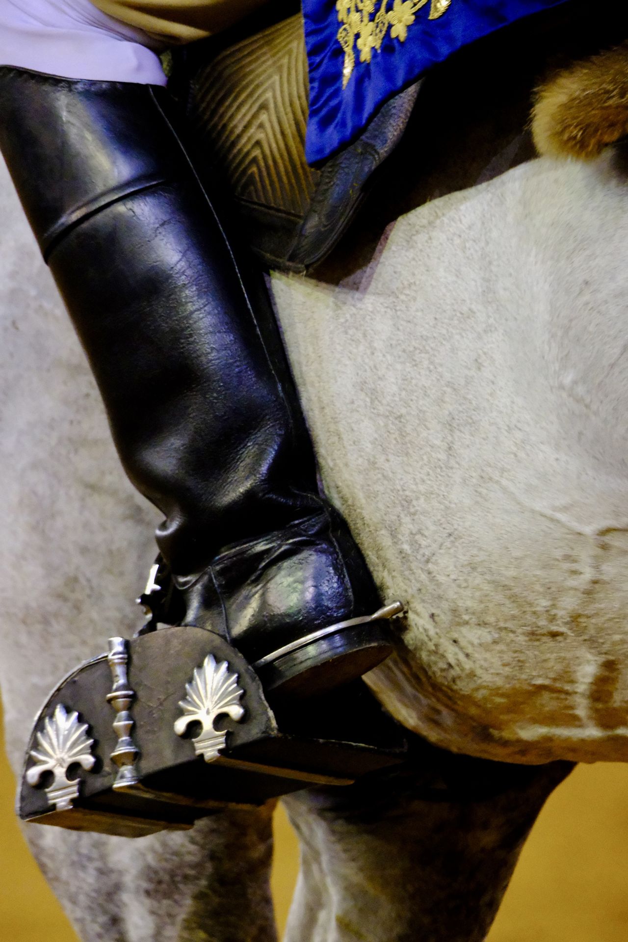 Fotos: Rui Fernandes y Diego Ventura salen a hombros en la nocturna de rejones de El Puerto