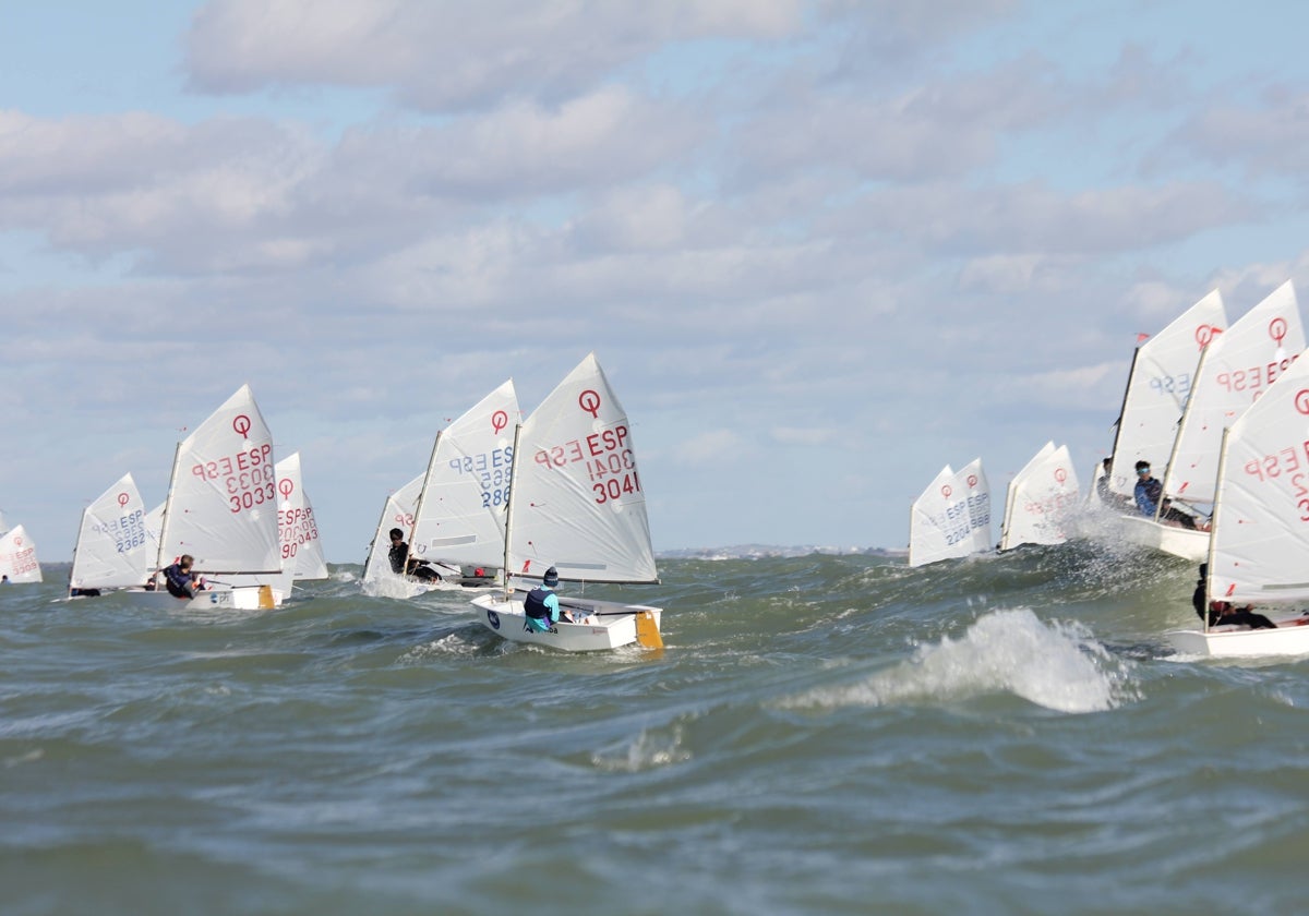 Cádiz estará bien representada en el equipo de Andalucía de Optimist.