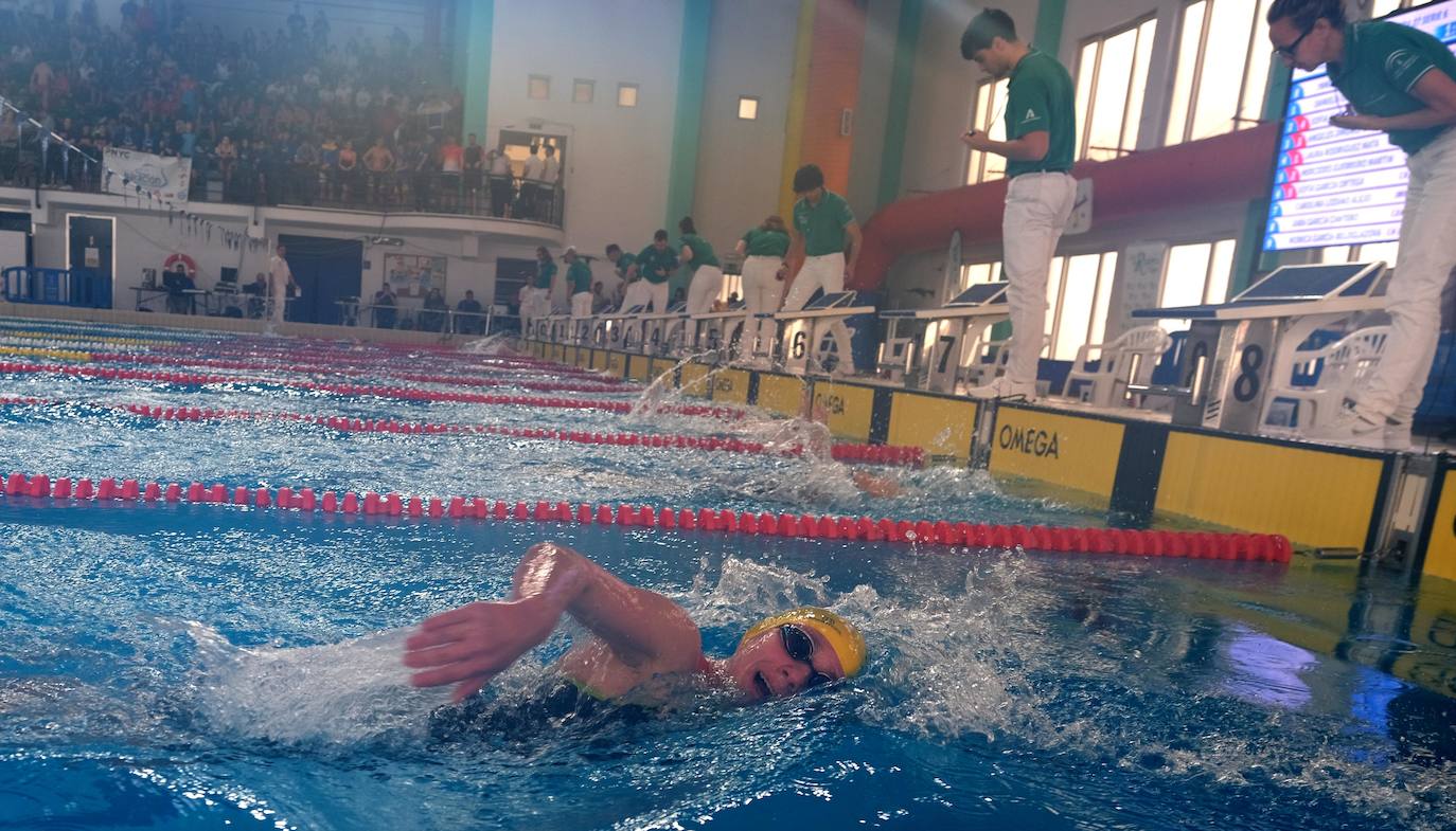 Fotos: Ambiente de gala en el campeonato andaluz de natación que se celebra en Cádiz