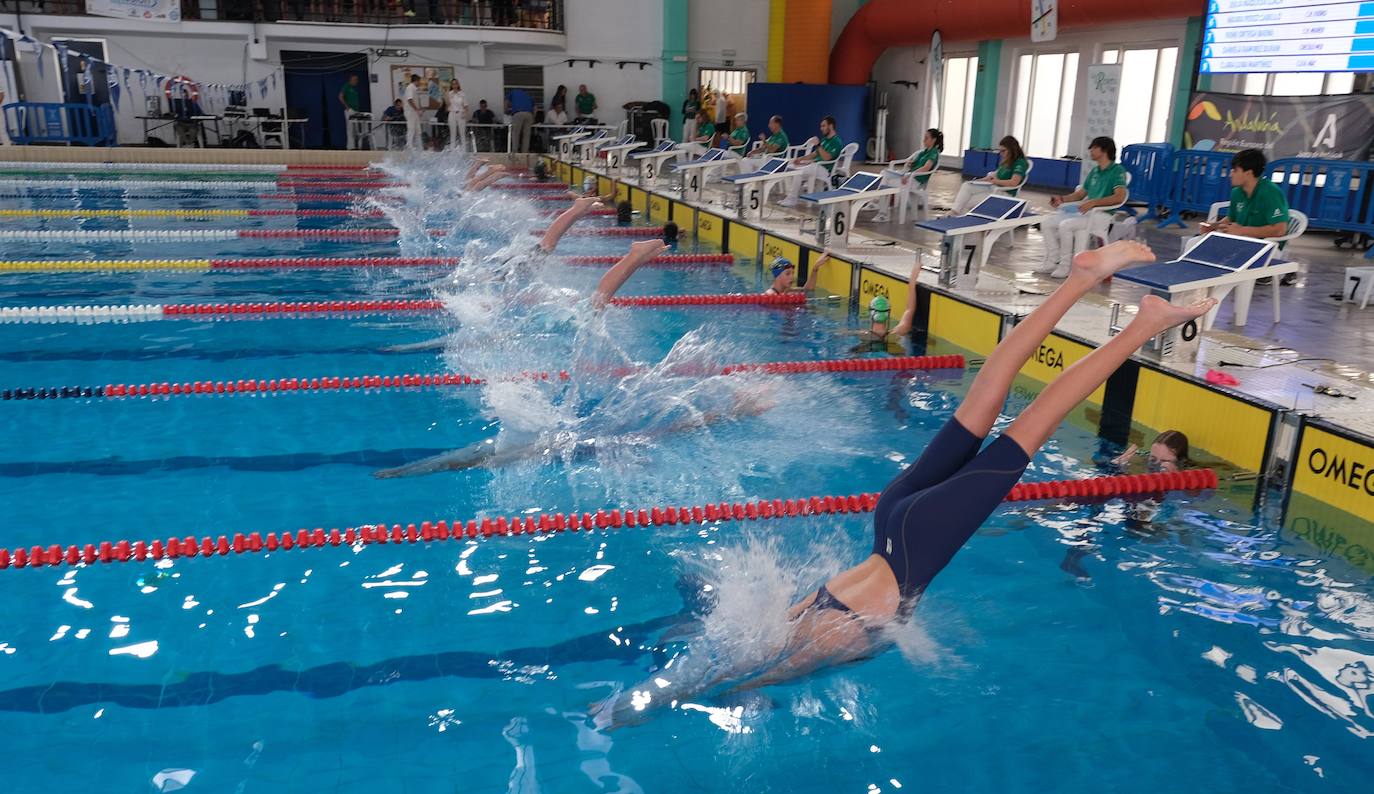 Fotos: Ambiente de gala en el campeonato andaluz de natación que se celebra en Cádiz