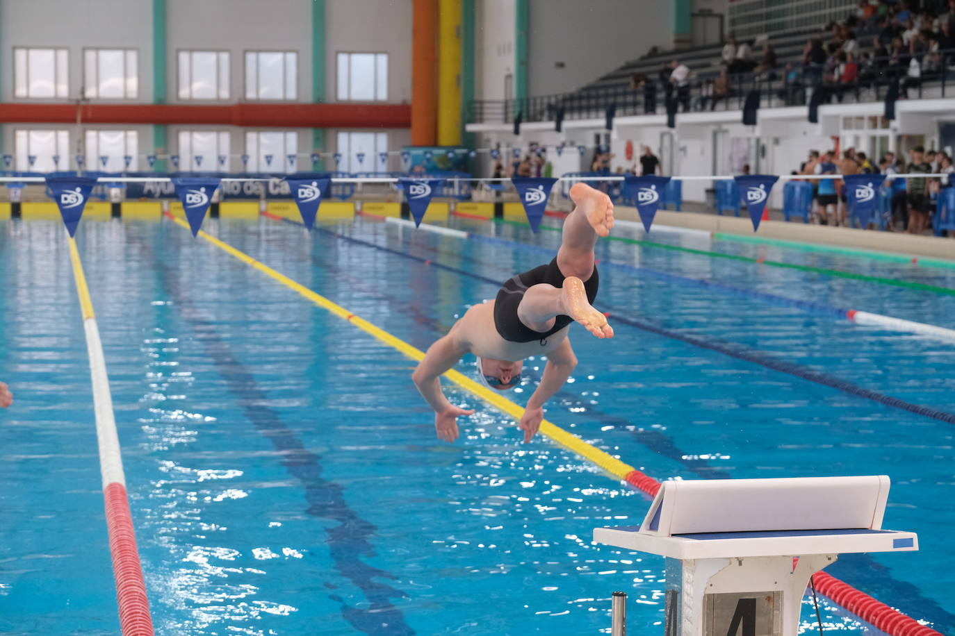 Fotos: Ambiente de gala en el campeonato andaluz de natación que se celebra en Cádiz