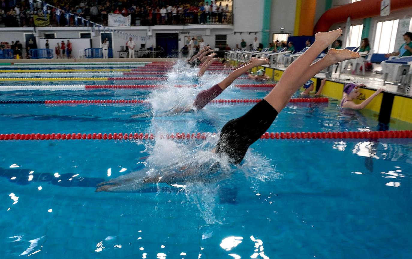 Fotos: Ambiente de gala en el campeonato andaluz de natación que se celebra en Cádiz