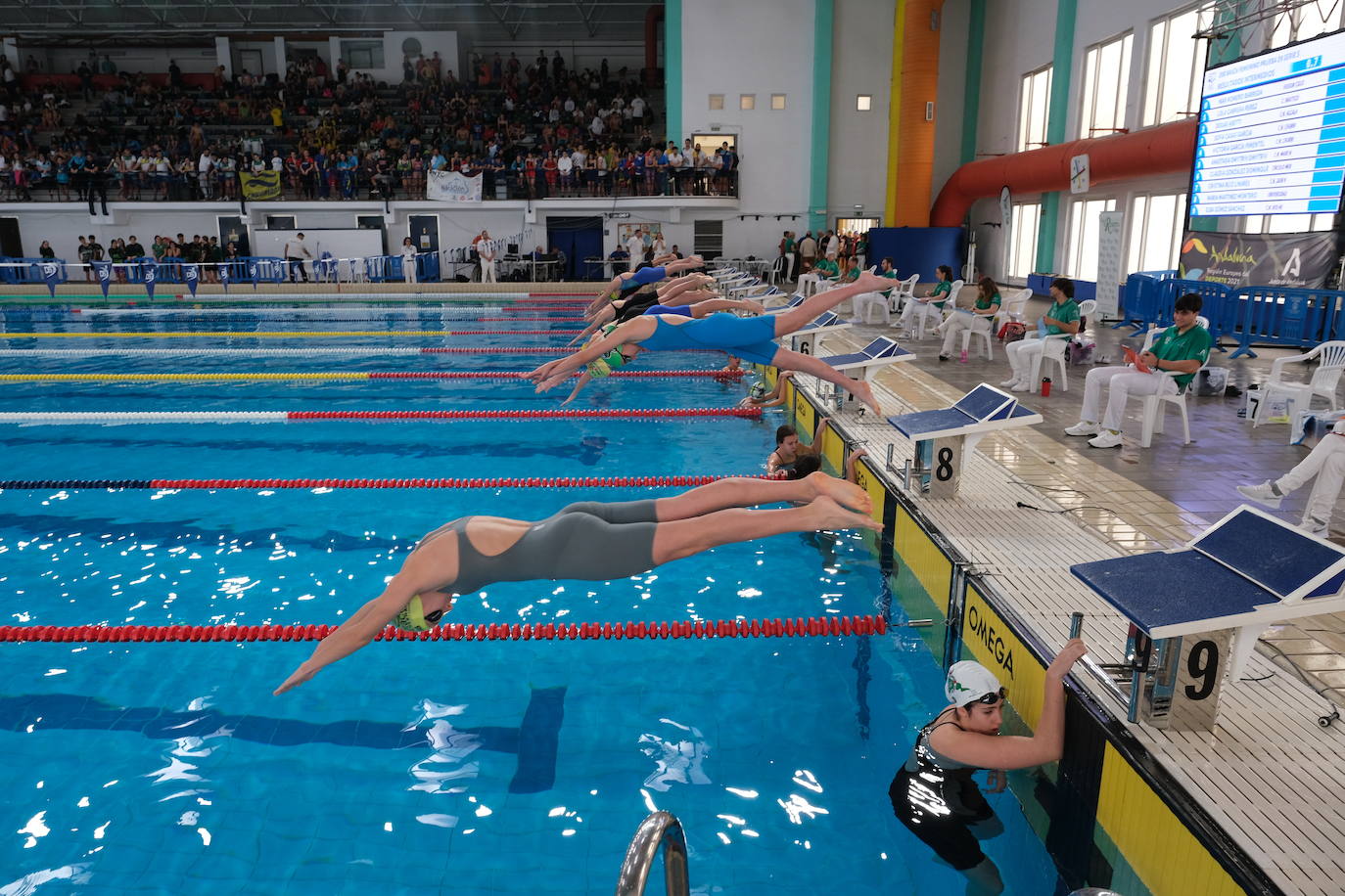 Fotos: Ambiente de gala en el campeonato andaluz de natación que se celebra en Cádiz