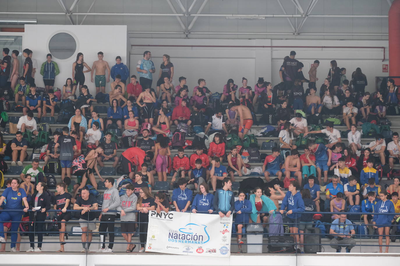 Fotos: Ambiente de gala en el campeonato andaluz de natación que se celebra en Cádiz