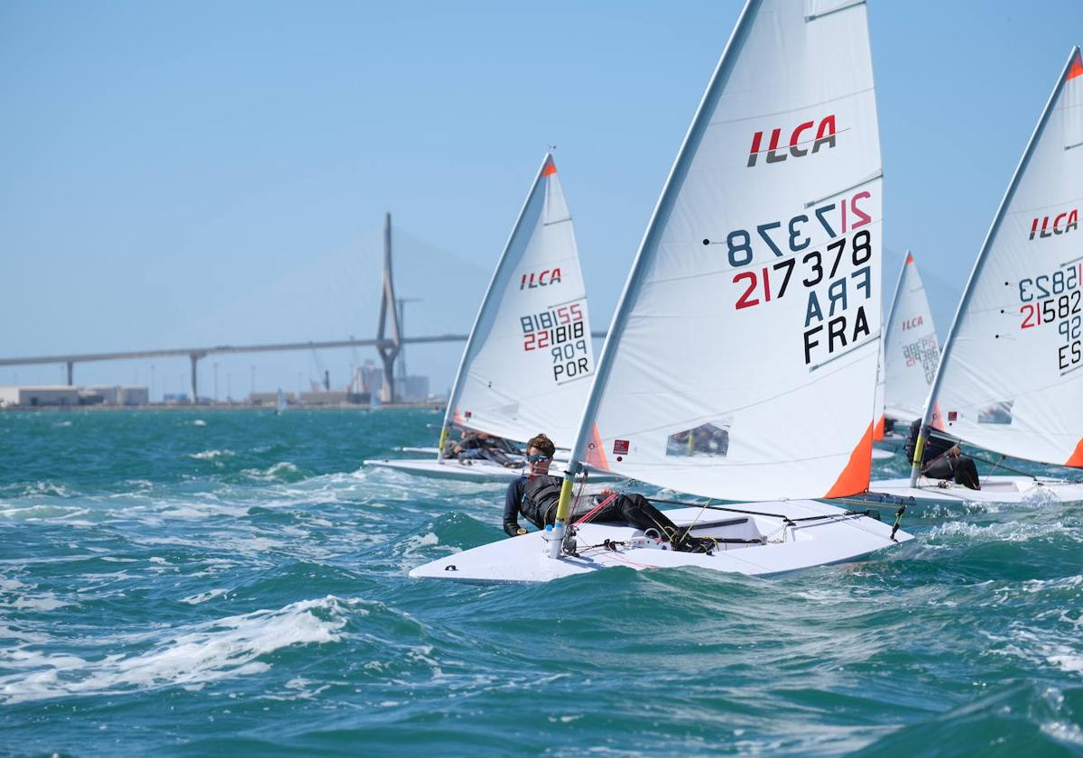 La competición se celebra esta semana en las aguas de la Bahía de Cádiz.