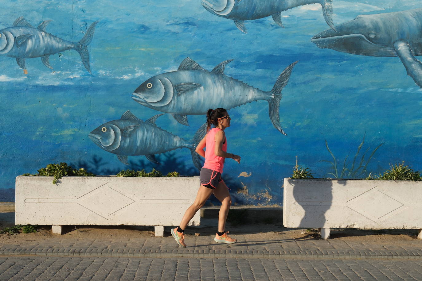 Fotos: Primera edición de la Media Maratón Ciudad de Chiclana