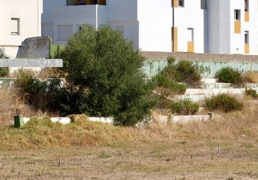 Las ruinas del vetusto Sancho Dávila en Puerto Real