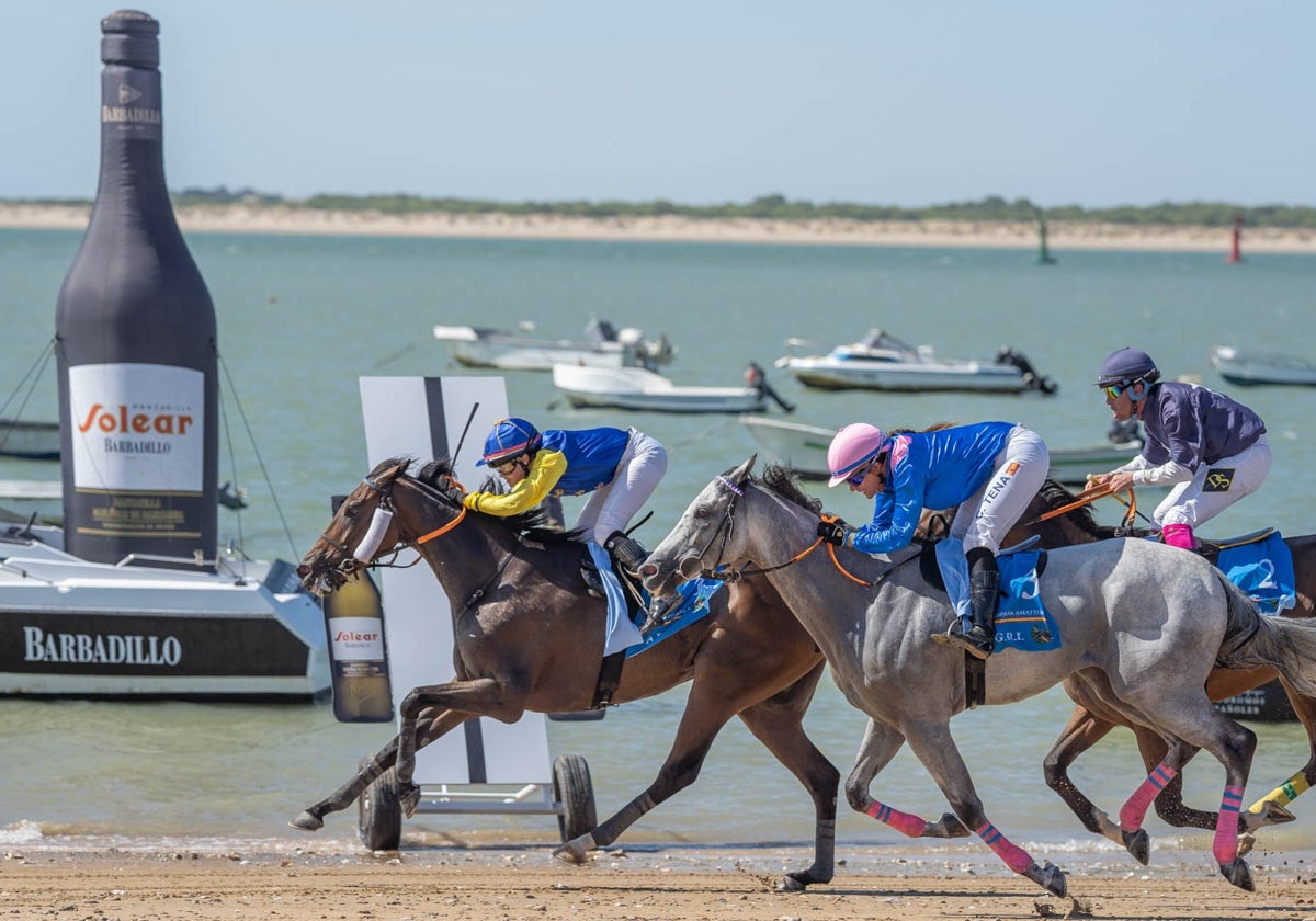 Las Carreras de Caballos de Sanlúcar entran de nuevo en escena.