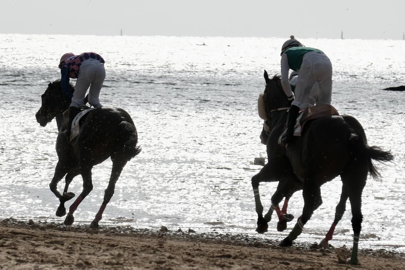 La primera carrera del segundo ciclo de las Carreras de Caballos de Sanlúcar en imágenes