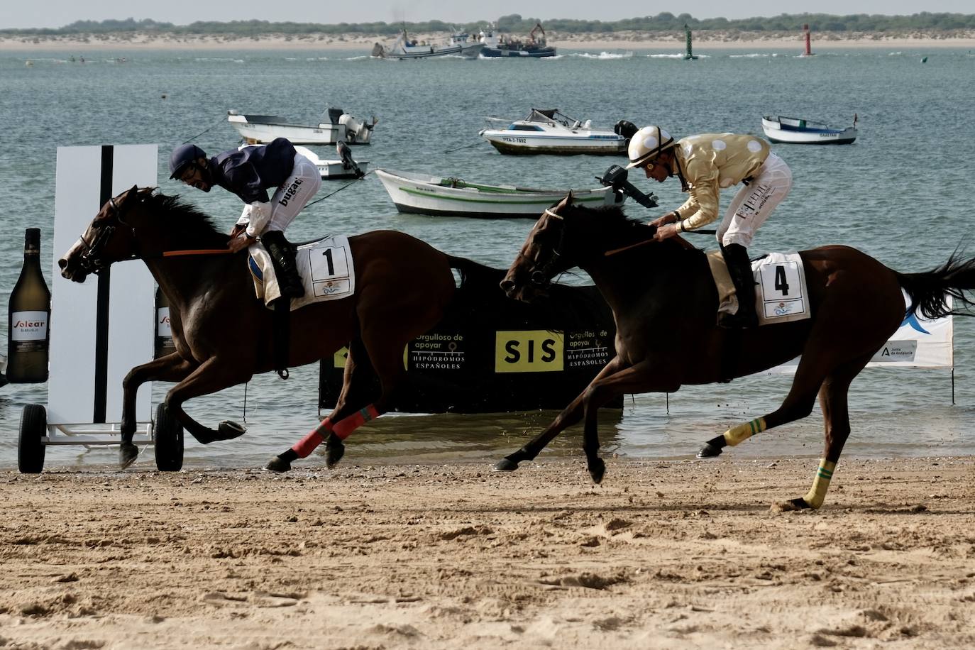 La primera carrera del segundo ciclo de las Carreras de Caballos de Sanlúcar en imágenes