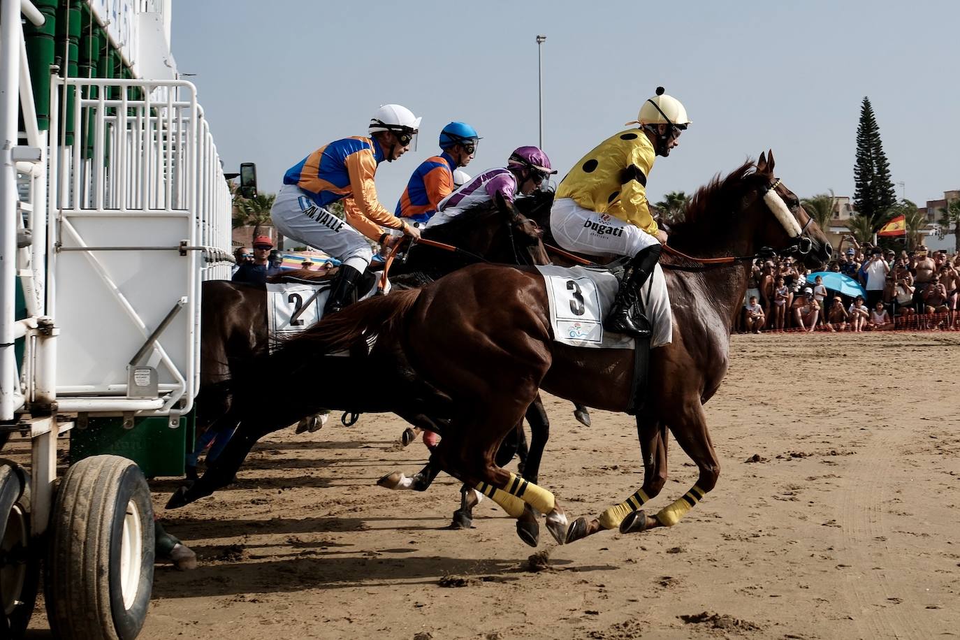 La primera carrera del segundo ciclo de las Carreras de Caballos de Sanlúcar en imágenes