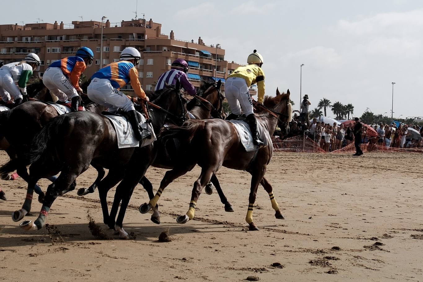 La primera carrera del segundo ciclo de las Carreras de Caballos de Sanlúcar en imágenes