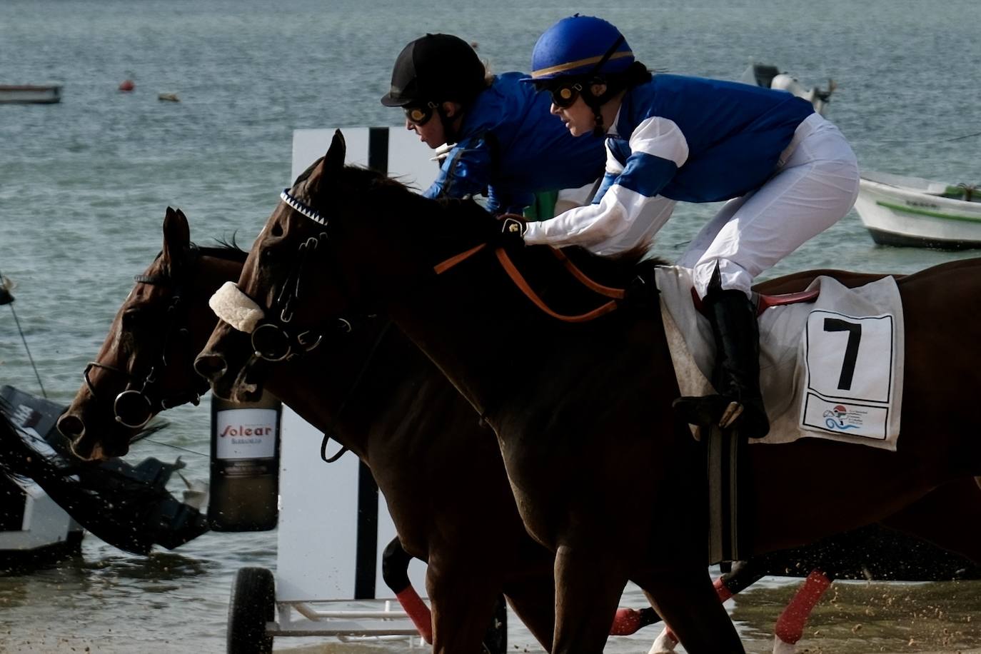 La primera carrera del segundo ciclo de las Carreras de Caballos de Sanlúcar en imágenes