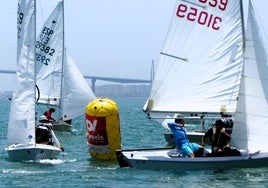 La competición se celebró en las aguas de la Bahía de Cádiz.
