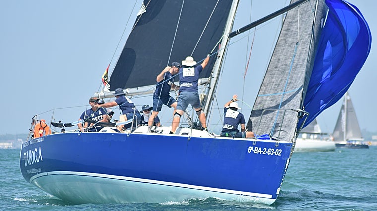 La competición está siendo un auténtico éxito en las aguas de la Bahía de Cádiz.