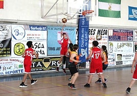 La Diputación amplía su programa de circuitos deportivos con un campeonato provincial de baloncesto 3x3