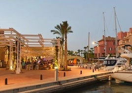 Puerto deportivo de Sotogrande