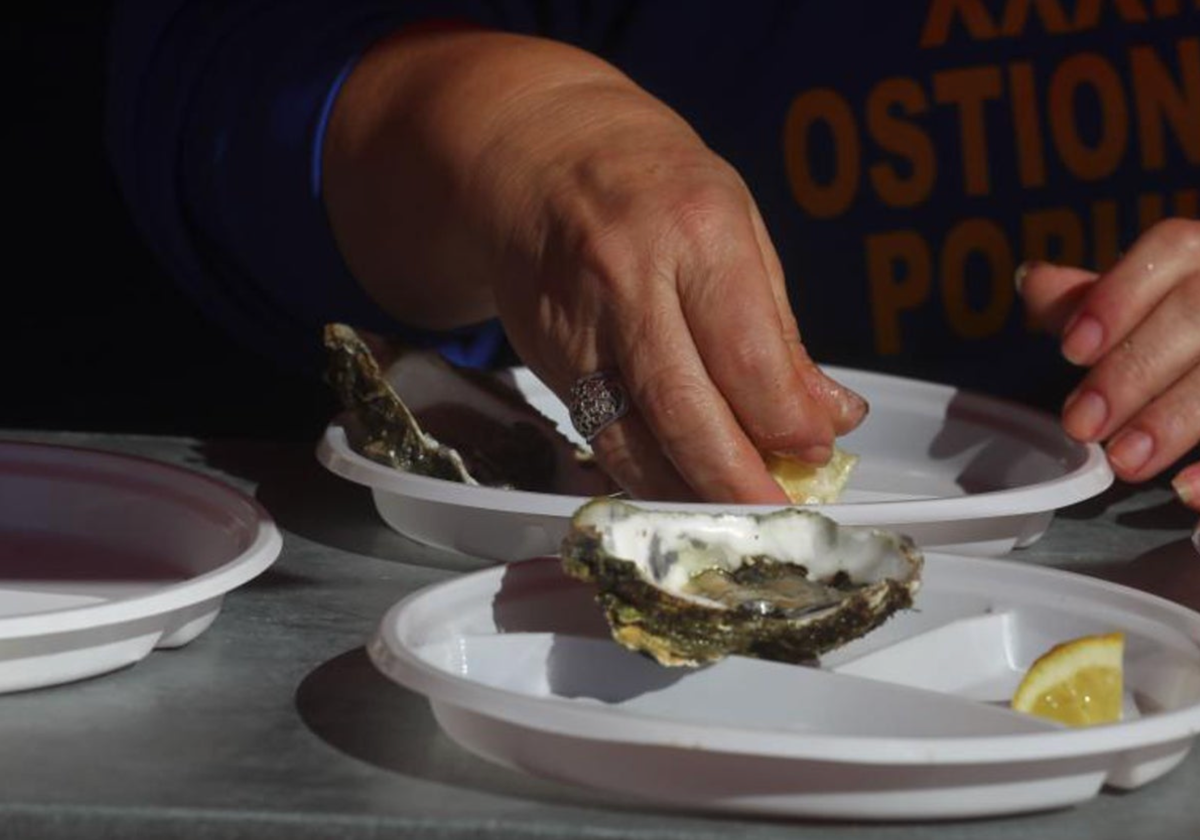 Dónde comer si vienes a la Ostionada