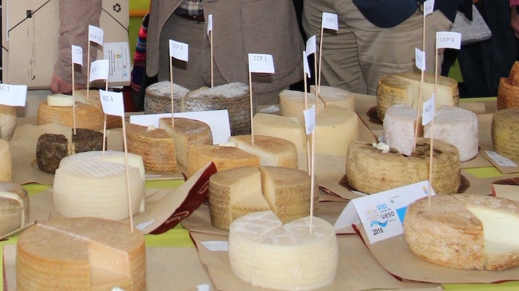 Villaluenga del Rosario se prepara para la XVI Feria del Queso Artesanal de Andalucía