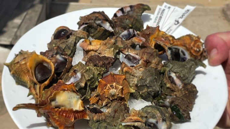 Plato de cañaillas en La Corchuela de San Fernando, Cádiz