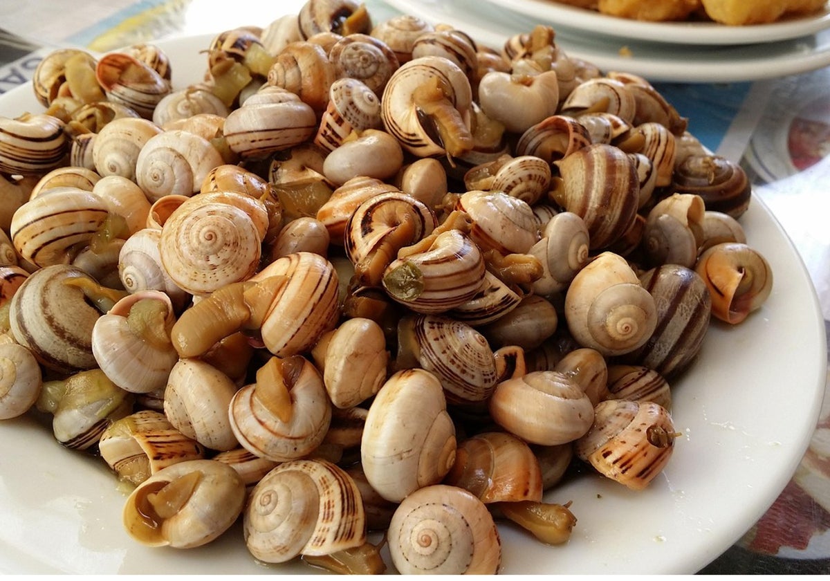 Plato de caracoles
