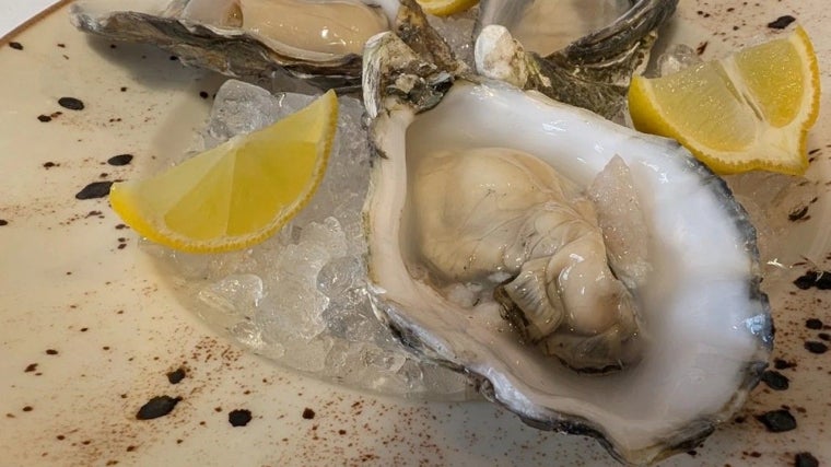 Ostras en el restaurante Salicornia de Cádiz