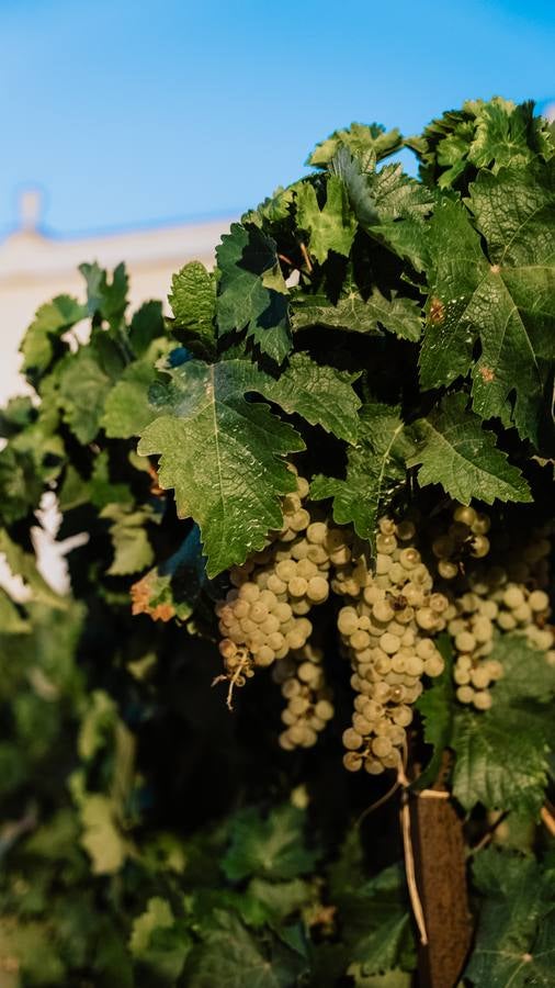 El Huaso propone una experiencia gastronómica para despertar los sentidos en Veranea en la Bodega
