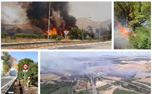 Varias imágenes del incendio de Jerez