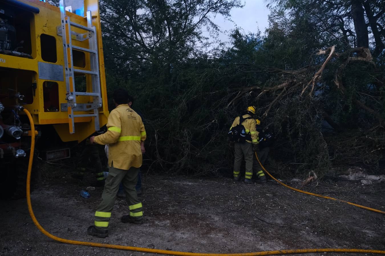 El levante ha dificultado el control del fuego en Jerez