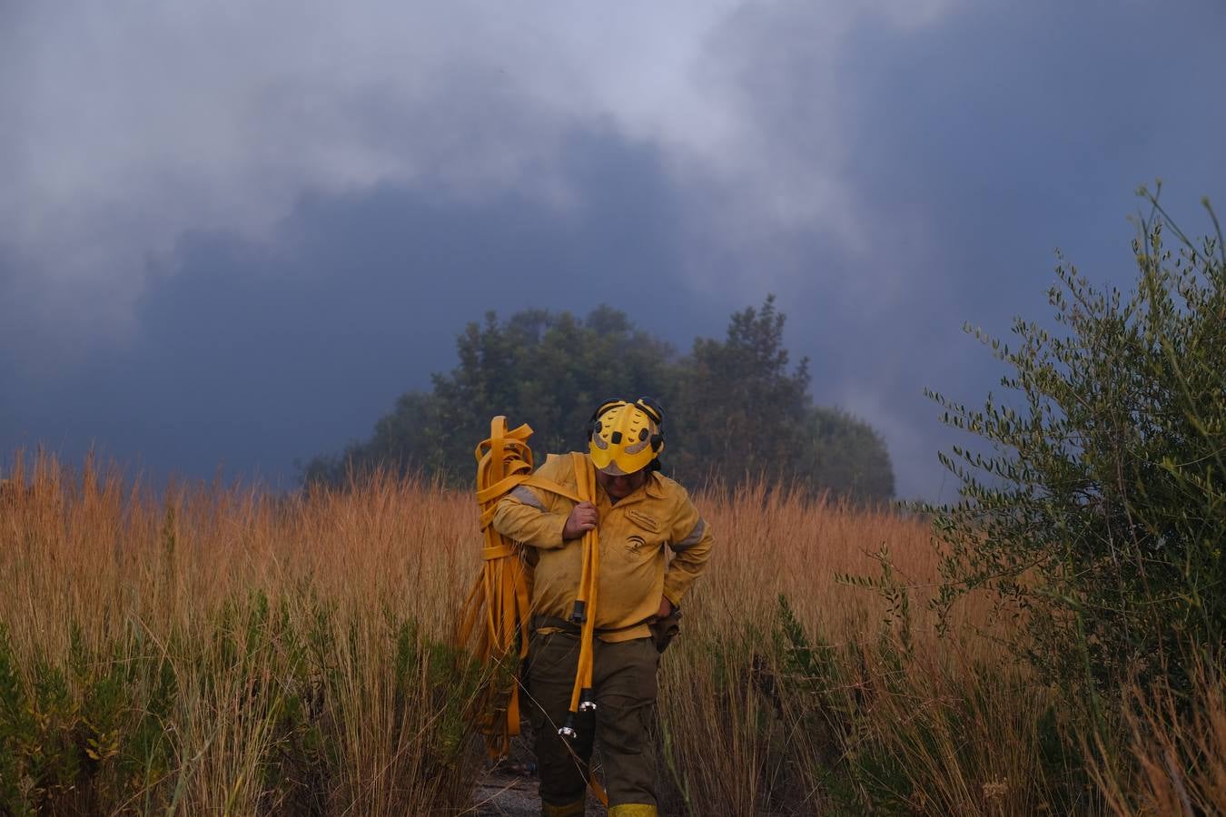 El levante ha dificultado el control del fuego en Jerez