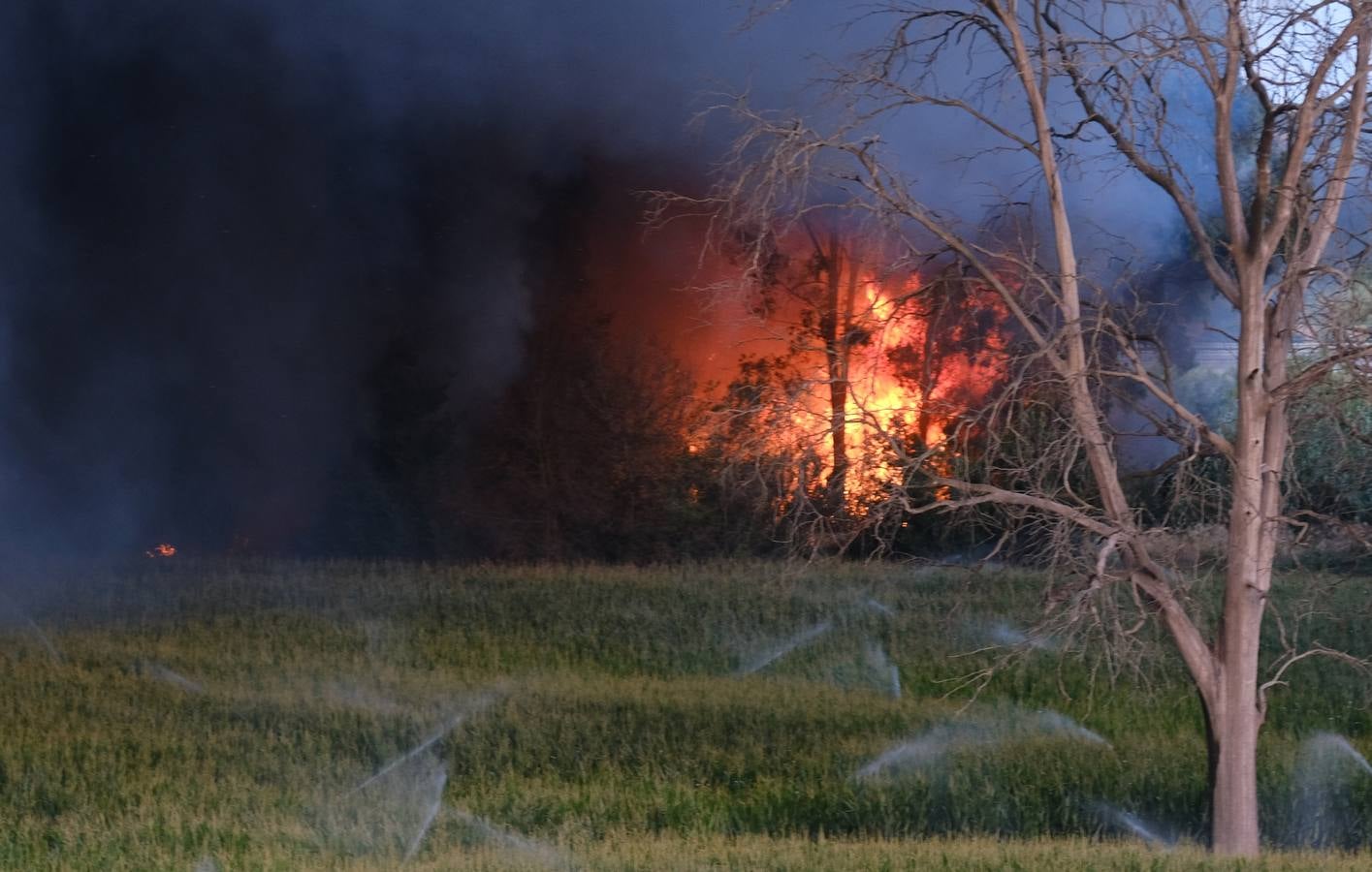 El levante ha dificultado el control del fuego en Jerez