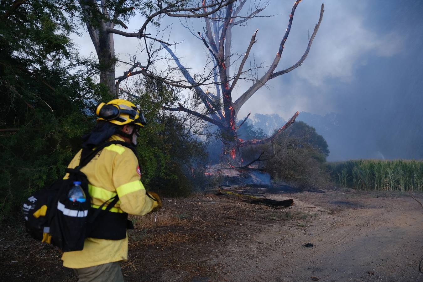 El levante ha dificultado el control del fuego en Jerez