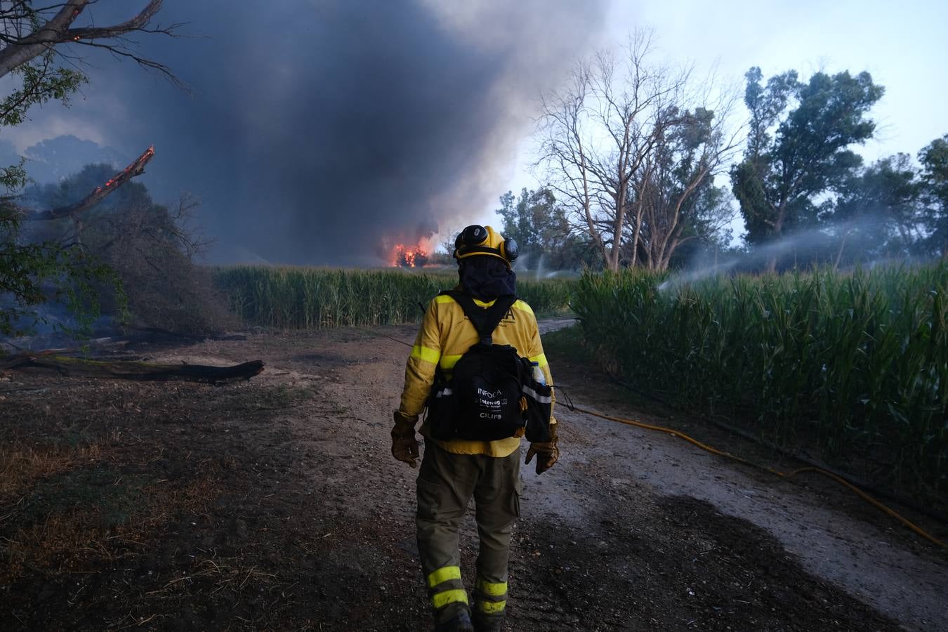 El levante ha dificultado el control del fuego en Jerez