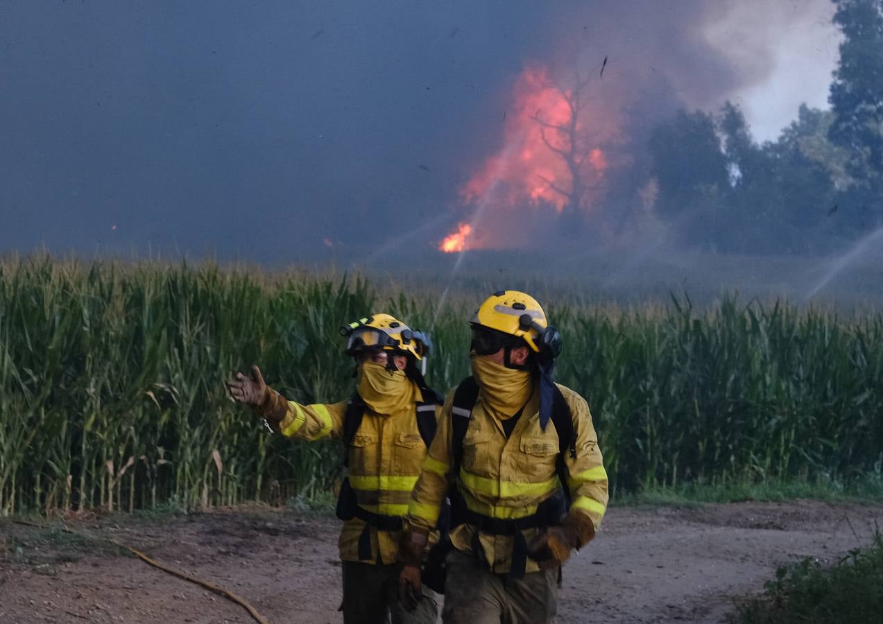 El levante ha dificultado el control del fuego en Jerez