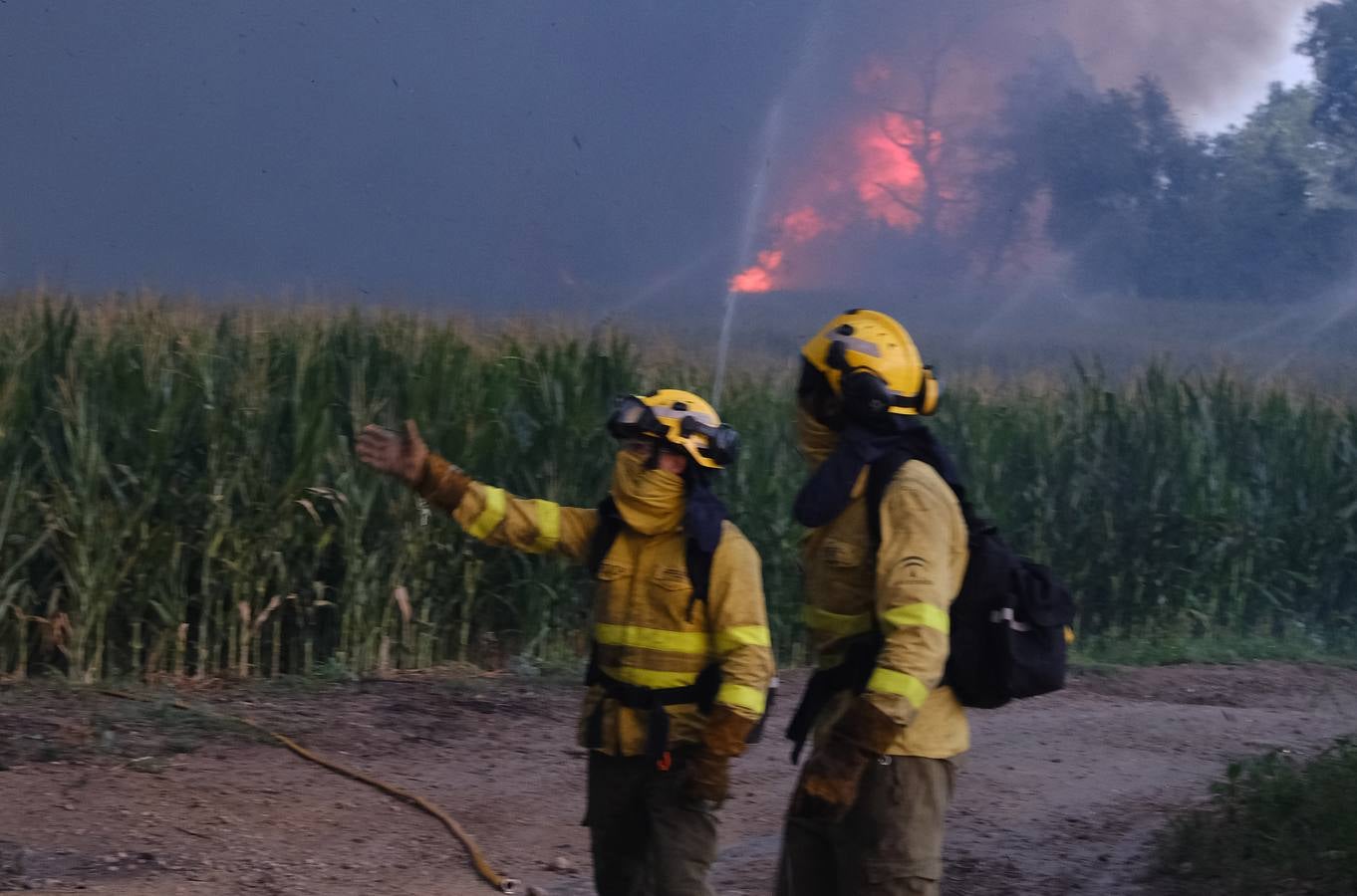 El levante ha dificultado el control del fuego en Jerez