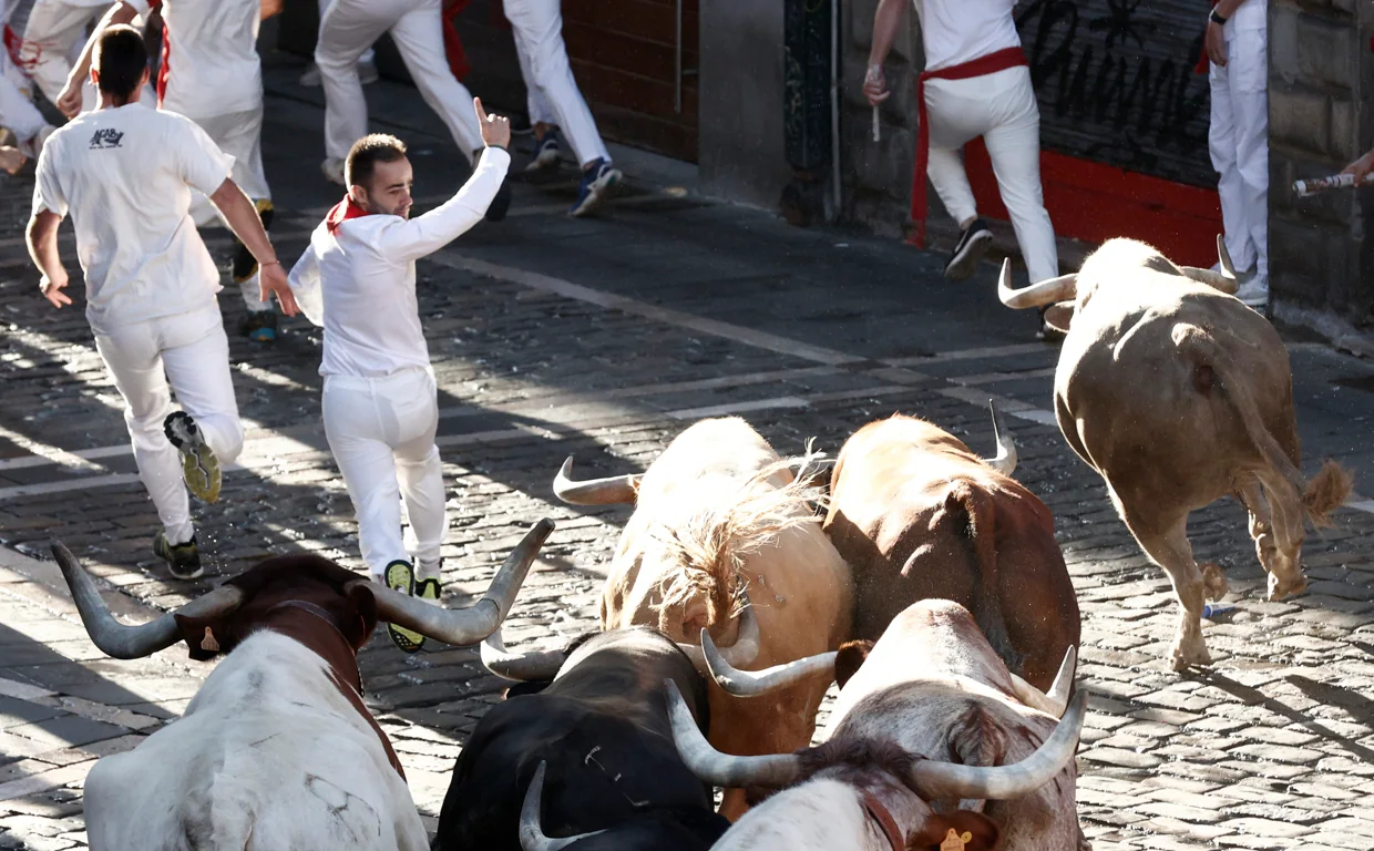 Los toros de Núñez del Cuvillo durante el encierro