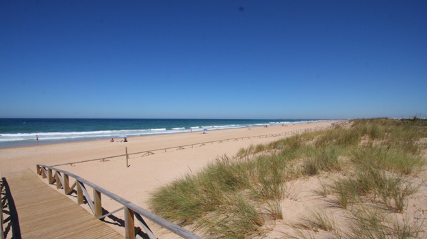 Imagen de la Playa el Palmar, Cádiz. Fuente: wikicommons