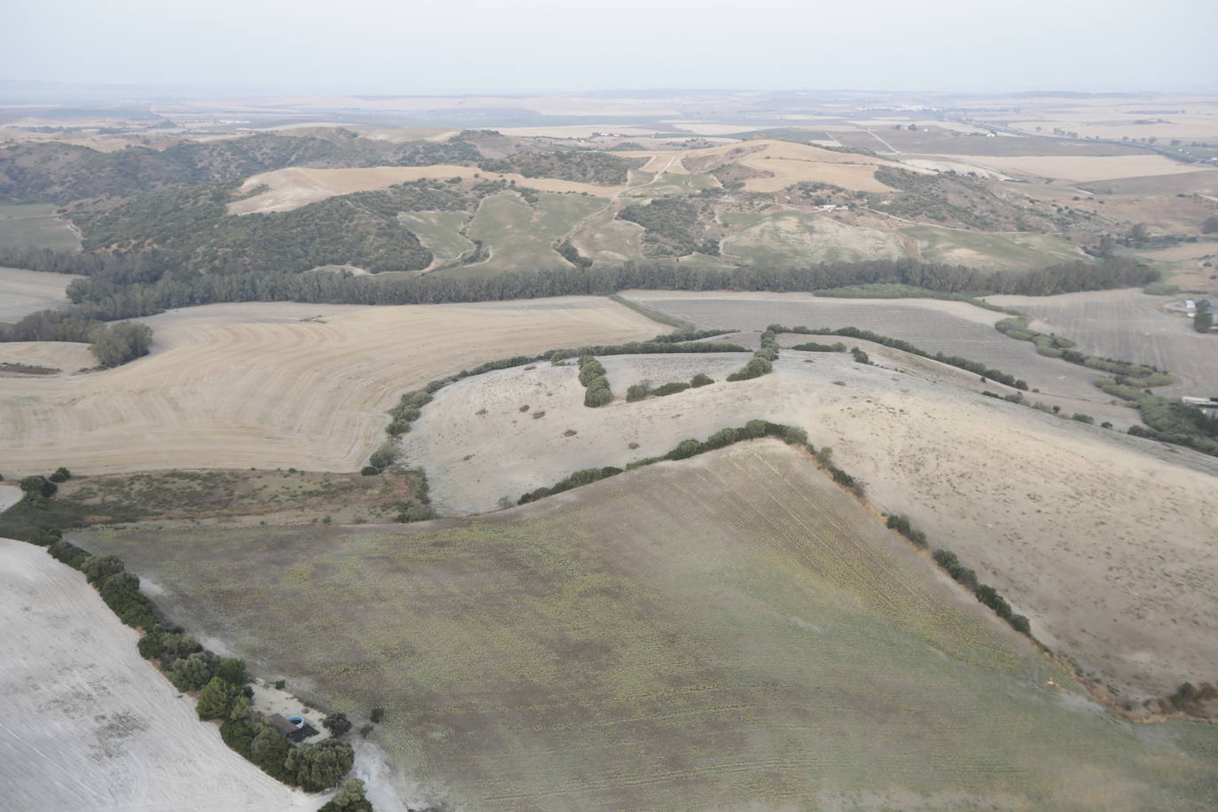 Fotos: la Sierra de Cádiz a vistas de pájaro